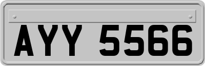 AYY5566