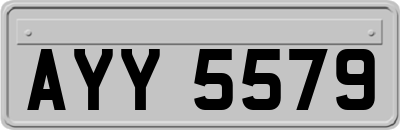AYY5579