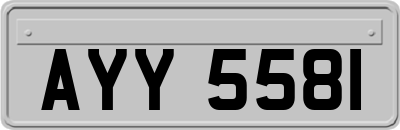 AYY5581