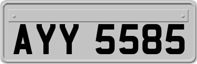 AYY5585