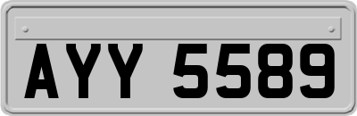 AYY5589