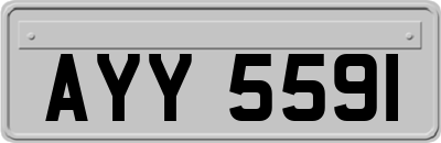 AYY5591
