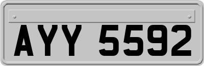 AYY5592