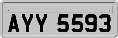 AYY5593