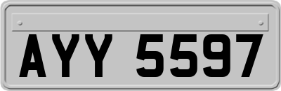 AYY5597