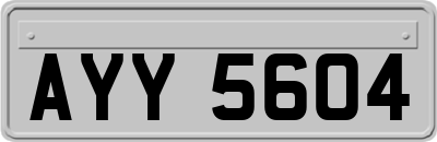 AYY5604