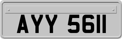 AYY5611