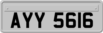 AYY5616