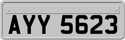 AYY5623
