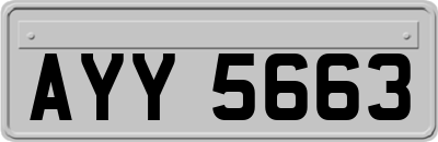 AYY5663