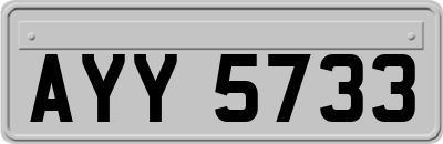 AYY5733