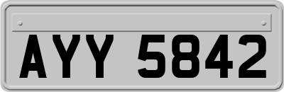 AYY5842