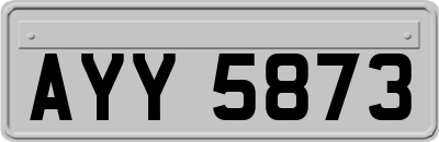 AYY5873