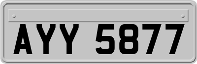 AYY5877