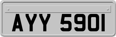 AYY5901