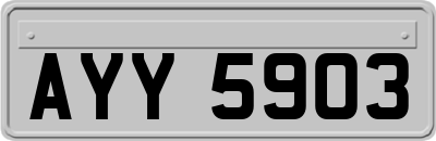 AYY5903