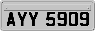 AYY5909