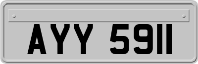 AYY5911