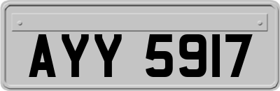 AYY5917