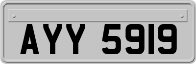 AYY5919