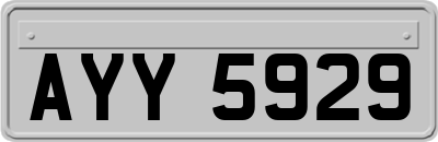 AYY5929