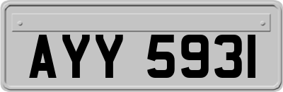 AYY5931