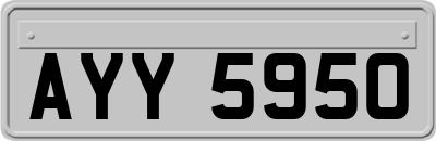 AYY5950