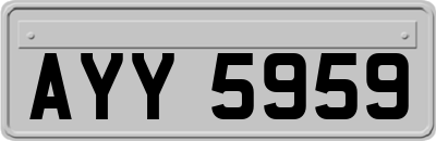 AYY5959