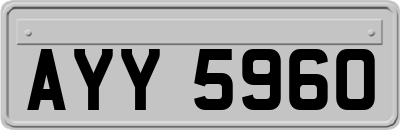 AYY5960