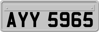 AYY5965