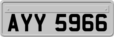 AYY5966