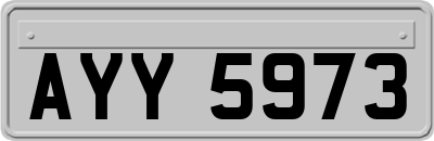 AYY5973