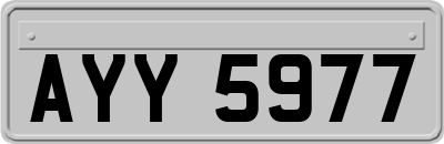 AYY5977