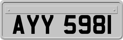 AYY5981