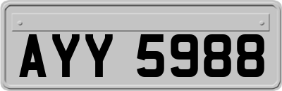AYY5988
