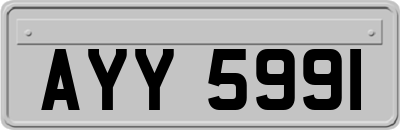 AYY5991
