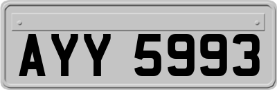 AYY5993