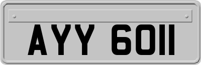 AYY6011