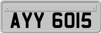 AYY6015