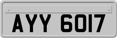 AYY6017