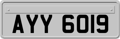 AYY6019