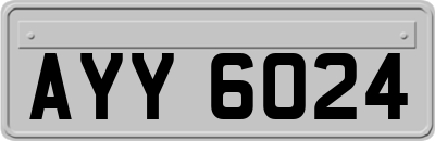 AYY6024