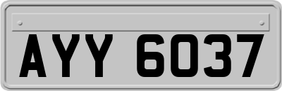 AYY6037
