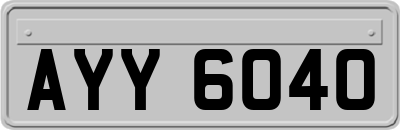 AYY6040