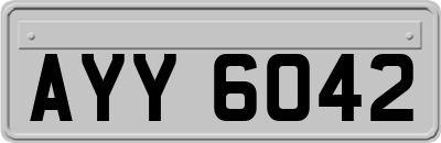 AYY6042