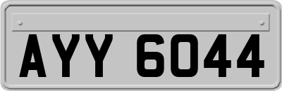 AYY6044