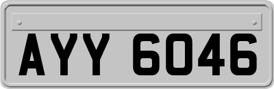 AYY6046
