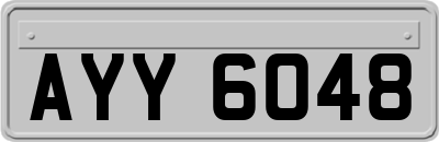 AYY6048
