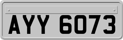 AYY6073