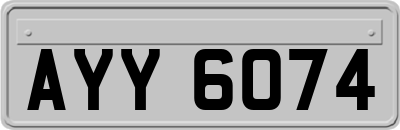 AYY6074